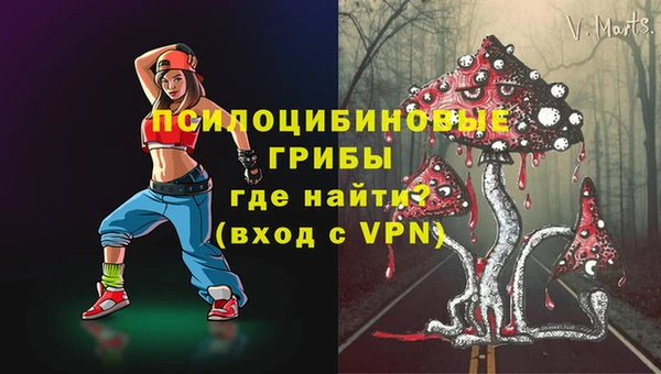 соль ск Верея