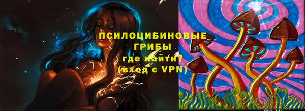 соль ск Верея