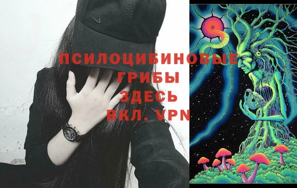 МДПВ Верхний Тагил