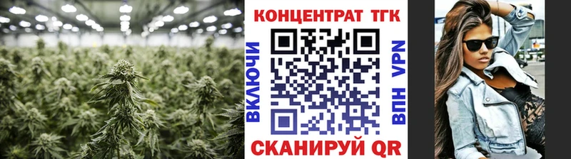 blacksprut ссылка  Шагонар  ТГК THC oil 