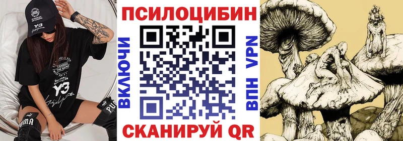 Псилоцибиновые грибы прущие грибы  купить закладку  Шагонар 